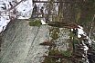Wycieczka18.02.2018r