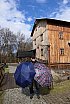 WYCIECZKA JELEŃ - TOMASZ&Oacute;W MAZOWIECKI fot. Michał