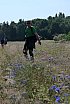 Wycieczka Wierna Rzeka - Chęciny - fot. Michał